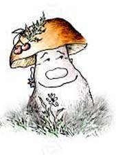 Сказка про грибы «Боровик, лисички и опята»