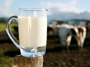 Викторина на тему "Молоко" (с ответами)