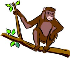 Короткая сказка про обезьяну
