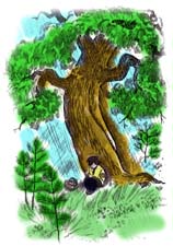 Отзыв о рассказе Л.Н.Толстого "Как мальчик рассказывал про то, как его в лесу застала гроза"