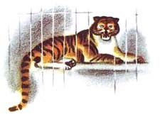 Отзыв о сказке Воронина «Настоящий тигр»