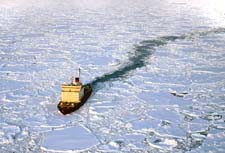 Северный Ледовитый океан. Рассказ детям