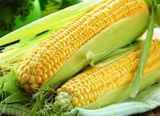 Рассказ о кукурузе детям