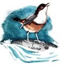 Викторина по сказке Сладкова «Песенки подо льдом» (с ответами)