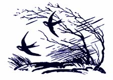 Викторина по рассказу Н.Сладкова «Первые» (с ответами)