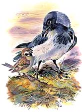 Викторина по сказке Н. Сладкова «Зимние долги» (с ответами)