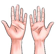 Что значит фразеологизм «Взять себя в руки»? (с примерами)