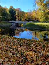 Красивые цитаты про осень Красивые цитаты про осень